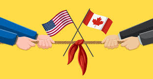 Episode 52: Navigating Market Noise – Real Talk on Tariffs, Rates & Real Estate